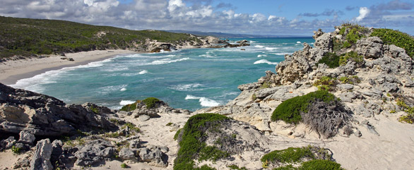 IMG_0698_DE_HOOP_SEAVIEW