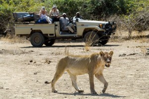 Gamedrive, Nsefu Camp