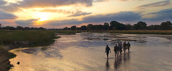 Denna safari innefattar tre dagars vandring i ett av afrikas mest djurrika vildmarksområden