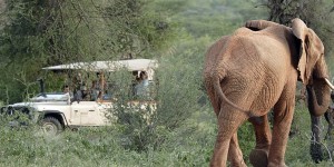 Klicka för större bild!