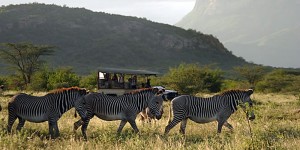 Klicka för större bild!