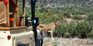 Klicka för större bild!