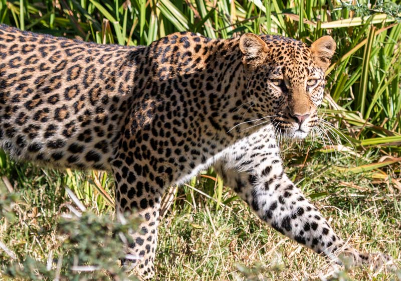 LEWA_IMG_7832