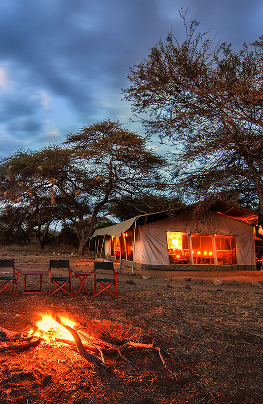 PORINI_AMBOSELI_DSR5281