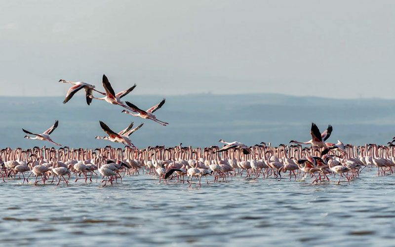 Sunbird-Lodge-Elementaita-4-1024x683