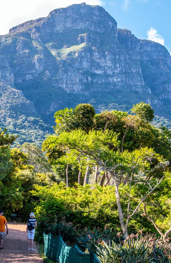 IMG_5361_KIRSTENBOSCH2_DOWNZ